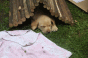 7_zwerge_7.gif 7_zwerge_7.gif