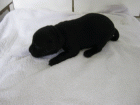 cloe1.gif cloe1.gif