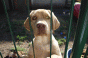 crazy3___26.10.11.gif crazy3___26.10.11.gif