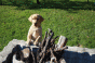 crazy_26.10.11.gif crazy_26.10.11.gif