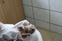 geburt_11.gif geburt_11.gif