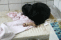 geburt_12.gif geburt_12.gif