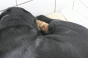 geburt_13.gif geburt_13.gif