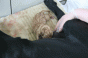geburt_15.gif geburt_15.gif