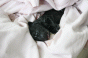 geburt_16.gif geburt_16.gif