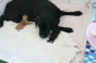 geburt_17.gif geburt_17.gif