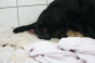 geburt_19.gif geburt_19.gif
