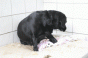geburt_2.gif geburt_2.gif