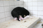 geburt_3.gif geburt_3.gif