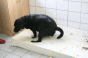 geburt_5.gif geburt_5.gif