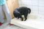 geburt_6.gif geburt_6.gif
