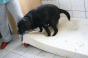 geburt_7.gif geburt_7.gif