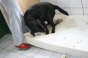 geburt_8.gif geburt_8.gif