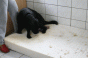 geburt_9.gif geburt_9.gif
