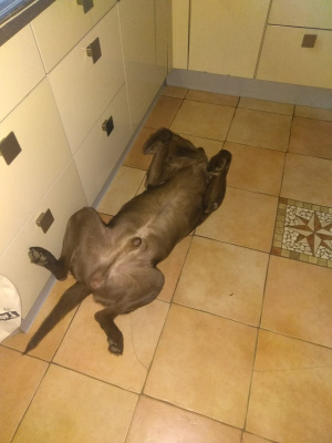 img20200105wa0010.jpg