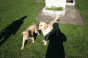 sheila_und_crazy.gif sheila_und_crazy.gif